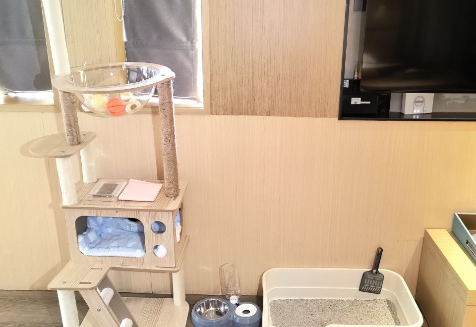 开化瑞泊度假酒店 图片9