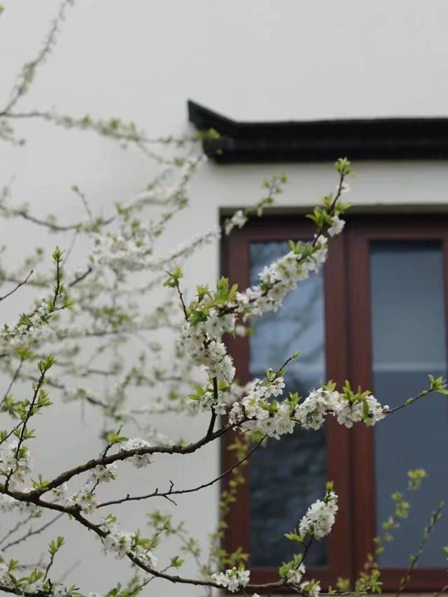 大乐之野(舟山南洞店)图片