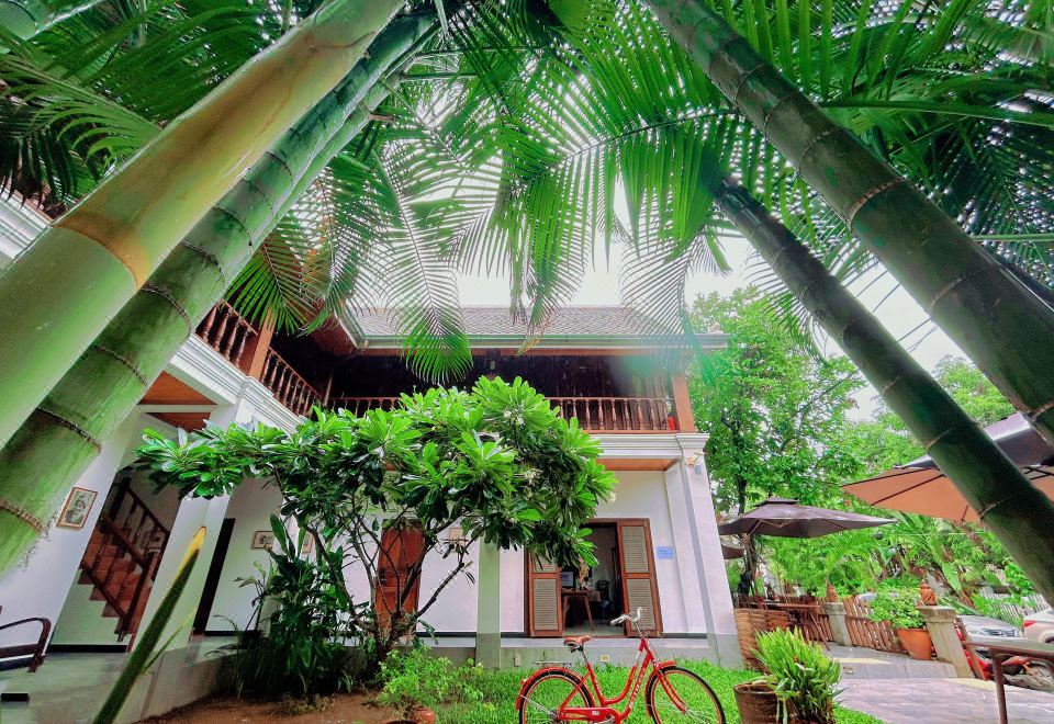 Wisdom Mystery Hotel Hotel Overview