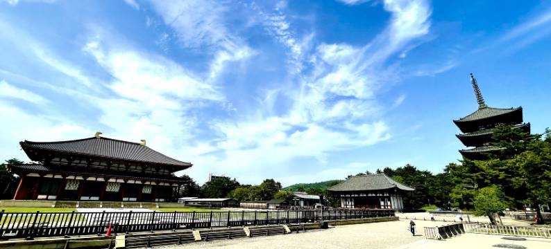 THE KAKU(THE KAKU)图片