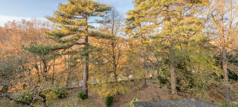 里昂巴布岛套房(Les Suites de l'Ile Barbe)图片