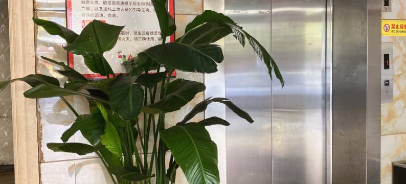 定南橙馨酒店图片