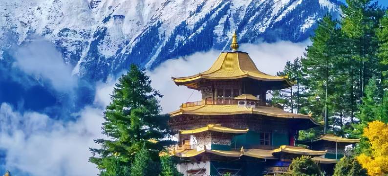 述野·隐世山居(波密嘎朗王宫店)图片