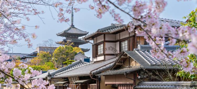 OMO5 京都祇园 by 星野集团(OMO5 Kyoto Gion by Hoshino Resorts)图片