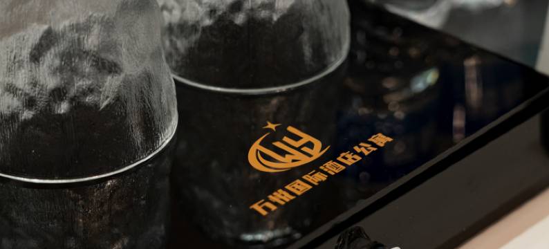 万悦国际公寓(龙华汽车站清湖店)图片