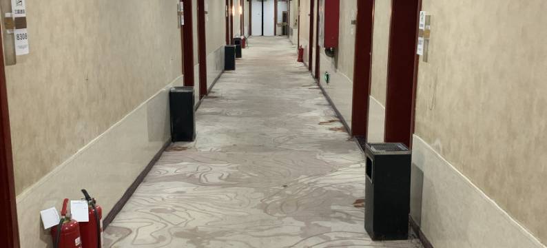 临泉兰庭酒店(人民医院店)图片