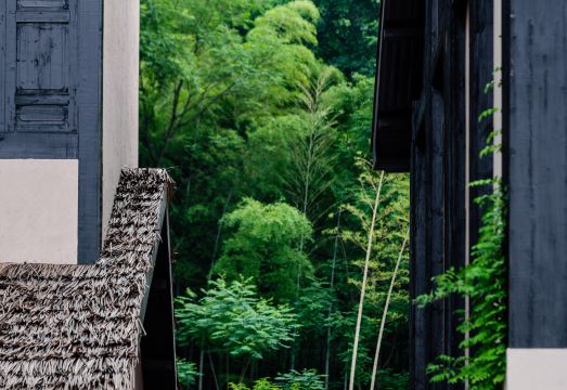 INTO Hotel Chibi Hotel Overview