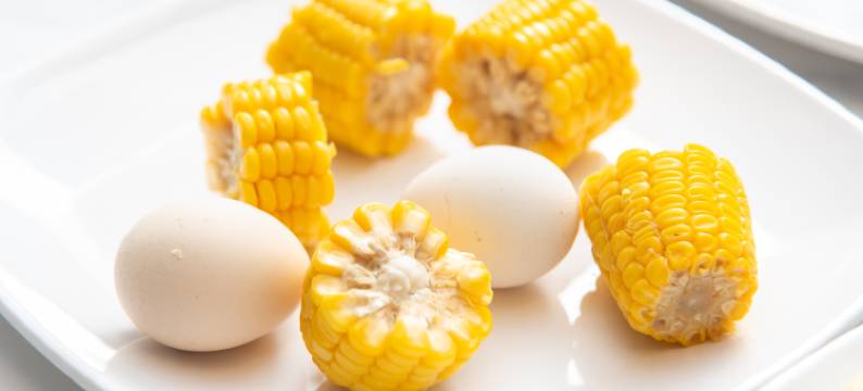 广州黄埔古港琶洲会展漫途酒店图片