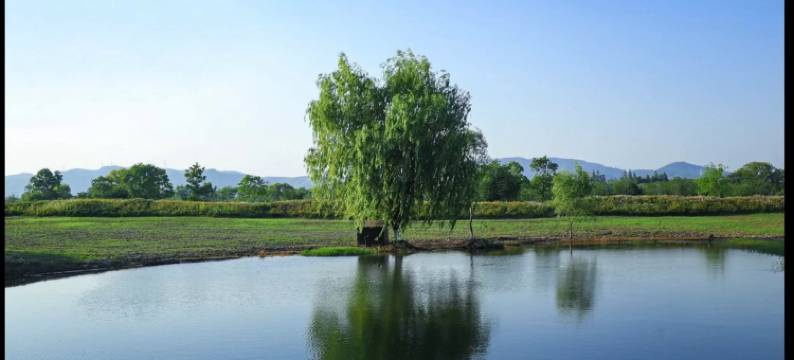 听城影院公寓(光剧院店)图片