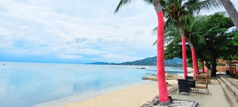 苏梅岛海滩共和国酒店(Beach Republic, Koh Samui)图片