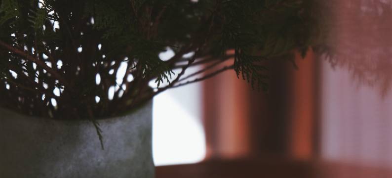 重构空间民宿(扬州仁丰里店)图片