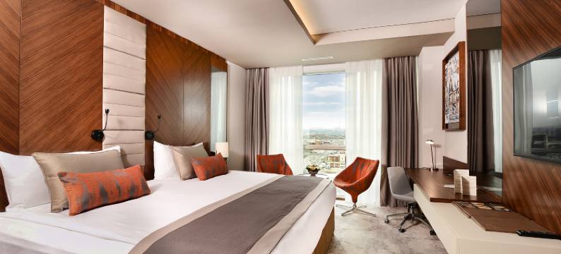 安卡拉Alegria商务酒店(Ankara Alegria Business Hotel)图片