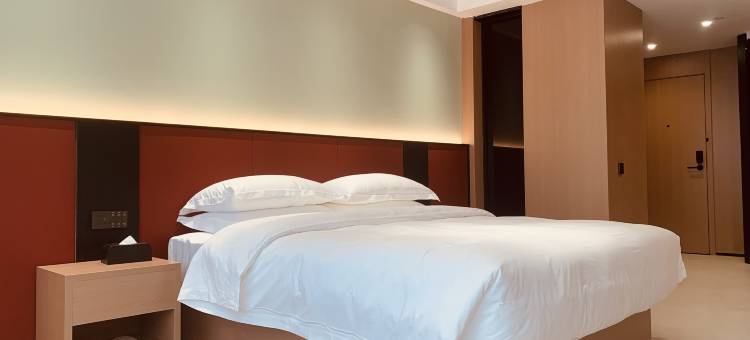 隆林成飞柏悦酒店图片