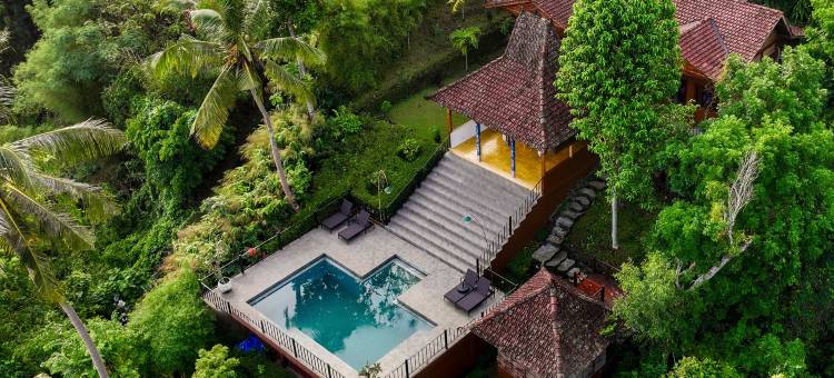 婆罗浮屠度假别墅(Villa Borobudur Resort)图片