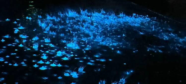 花筑·平潭山海境日落风车海景民宿图片