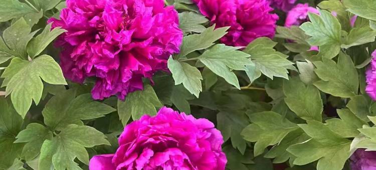 格林豪泰智选酒店(洛阳王城公园火车站店)图片