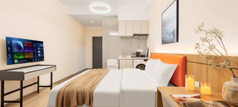 佰郦希玥影音民宿(菁蓉湖石室蜀都中学店)图片