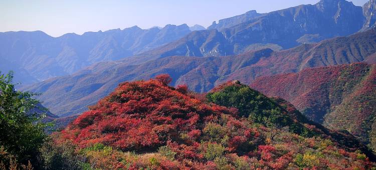 大巫小舍(房山风景区店)图片