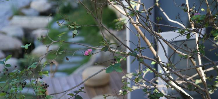 去来山社•艺墅(三宝国际陶艺村店)图片