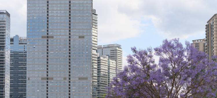 云归处民宿(高原明珠国际商贸城昌宏西路地铁站店)图片
