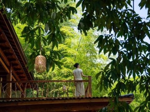 归舍·GUISHE竹海汤屋设计师美宿(安吉江南天池店)图片