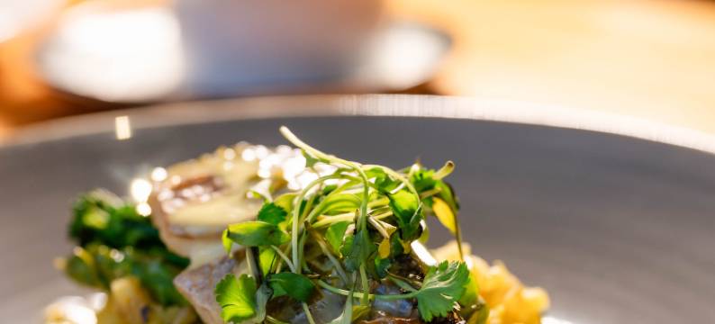 泰通庄园度假酒店(Tinto Hotel)图片