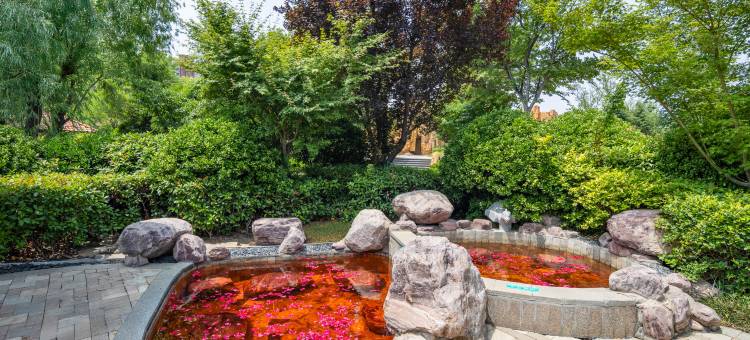 临沂鲁商知春湖温泉酒店图片