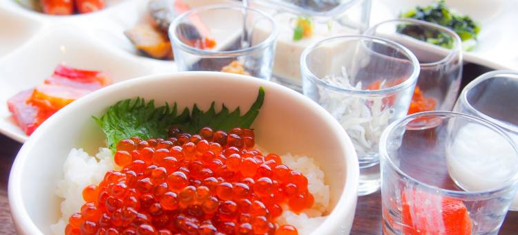 札幌艾米西亚酒店(Hotel Emisia Sapporo)图片