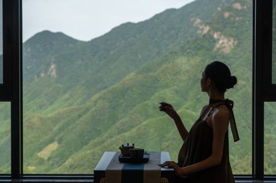 Verena漫叙·270°山巅云海秘境(云上草原店)图片