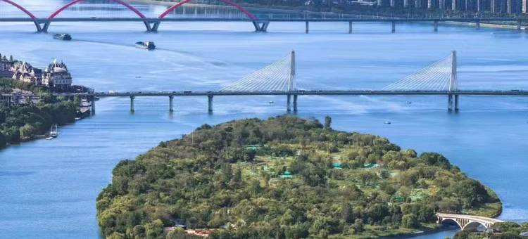 长沙豪生Howard Johnson Club酒店(高铁南站国际会展中心店)图片