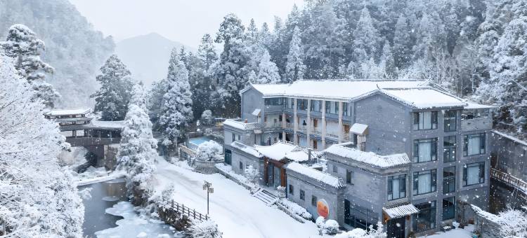 景宁梅俚雪乡温泉酒店(云中大漈店)图片