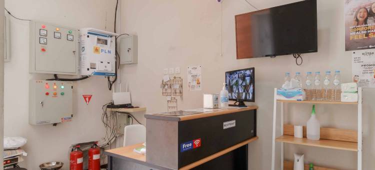 Palm Eight RedPartner图片