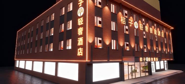 桔子树轻奢智能酒店(铁西万达盛京医院滑翔院区店)图片
