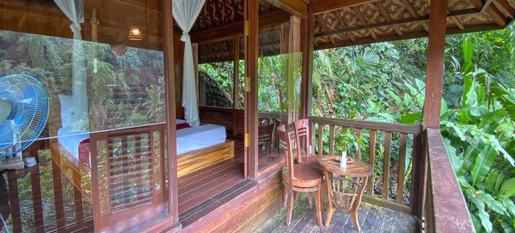 Bali Jungle Resort图片