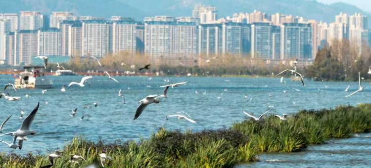 昆明中心皇冠假日酒店(南屏街店)图片