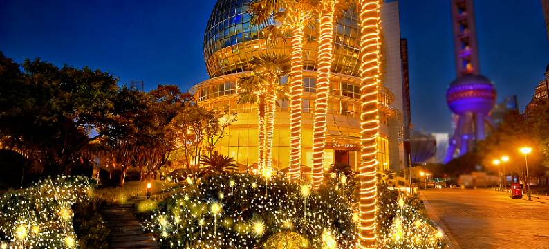 上海东方滨江大酒店(国际会议中心)图片