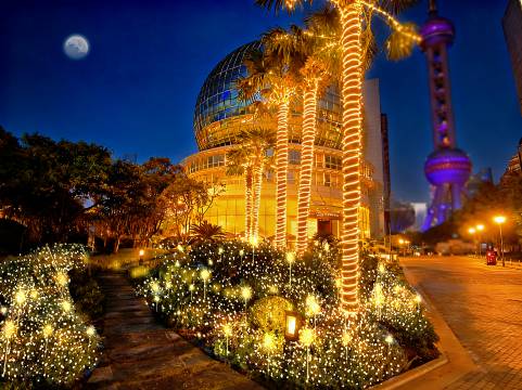 上海东方滨江大酒店(国际会议中心)图片