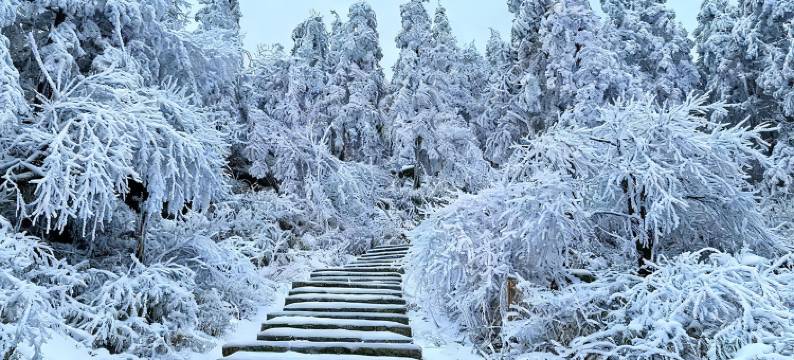 杭州鸬鸟希尔顿花园酒店图片