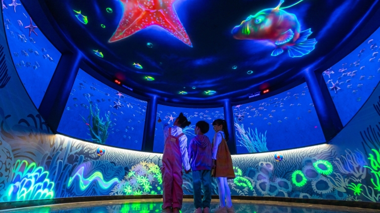 New World Shenyang Hotel Over view