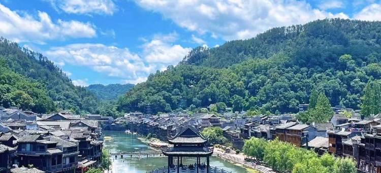 青巷客栈庭院民宿图片