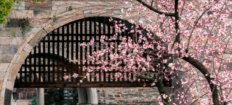 盐官潮乐之城主唱音乐度假酒店图片