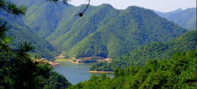 维也纳酒店(杭州富阳胥口店)图片