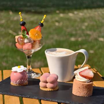 厦门艾美酒店图片