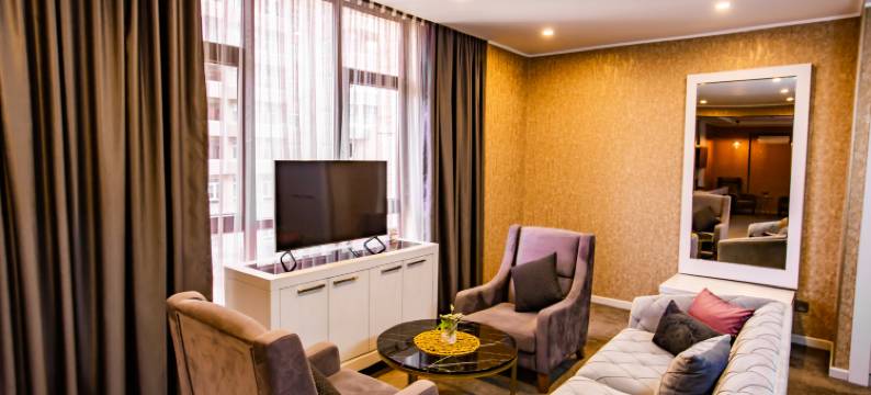 尊享公园酒店(Premium Park Hotel)图片