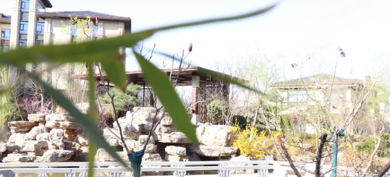 濮阳阿尔卡迪亚酒店(西湖公园店)图片