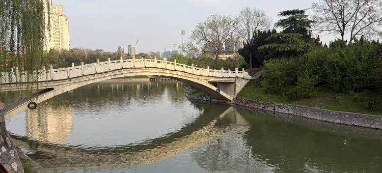 盈庭城市民宿(胖东来大胖店)图片