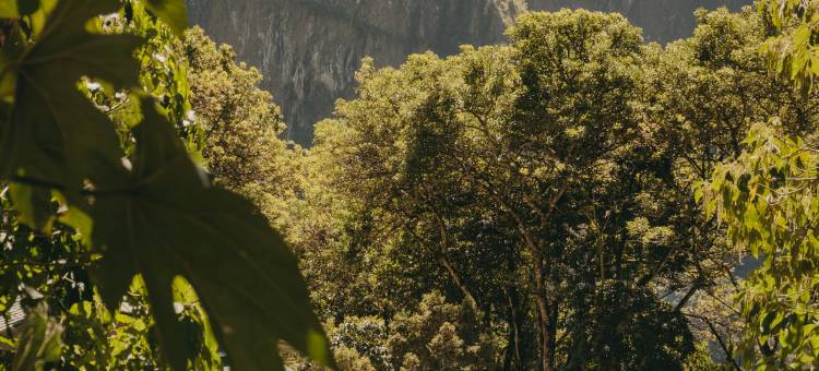 圣谷酒店，贝梦德酒店，马丘比丘(Sanctuary Lodge, A Belmond Hotel, Machu Picchu)图片