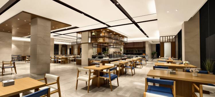 崇左大新展鹏国际酒店图片