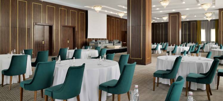 利雅得马拉兹洲际假日酒店(Holiday Inn RIYADH AL MALAZ by IHG)图片
