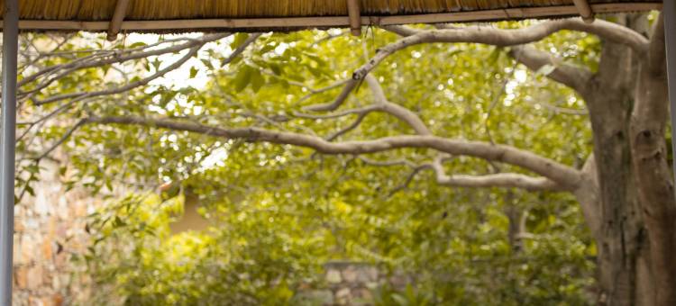 自然村庄度假村(Nature Village Resort)图片